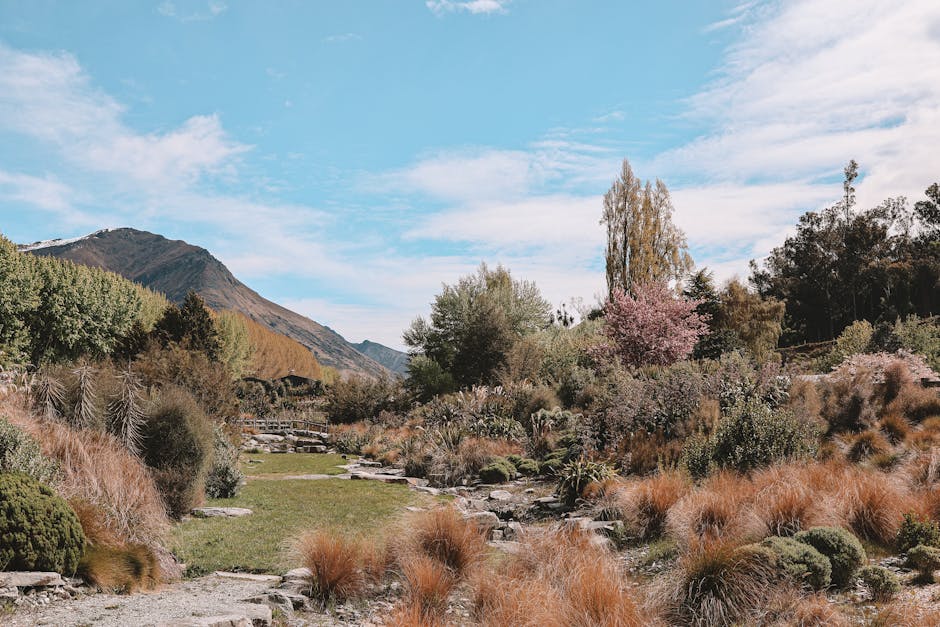 Serene landscape in Queenstown, New Zealand, showcasing lush greenery and mountainous backdrop.