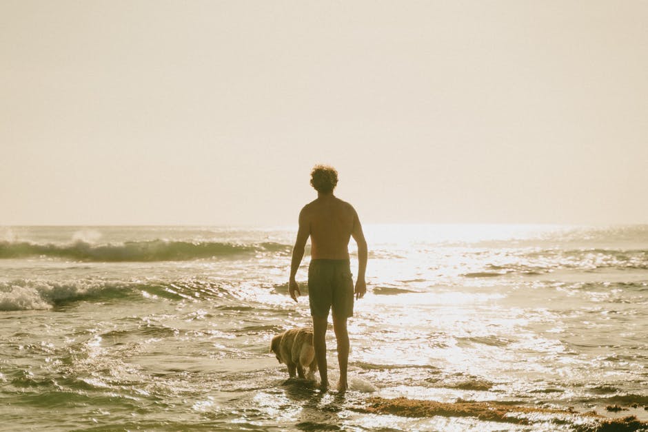 Free stock photo of bali, bali island, bali tourism